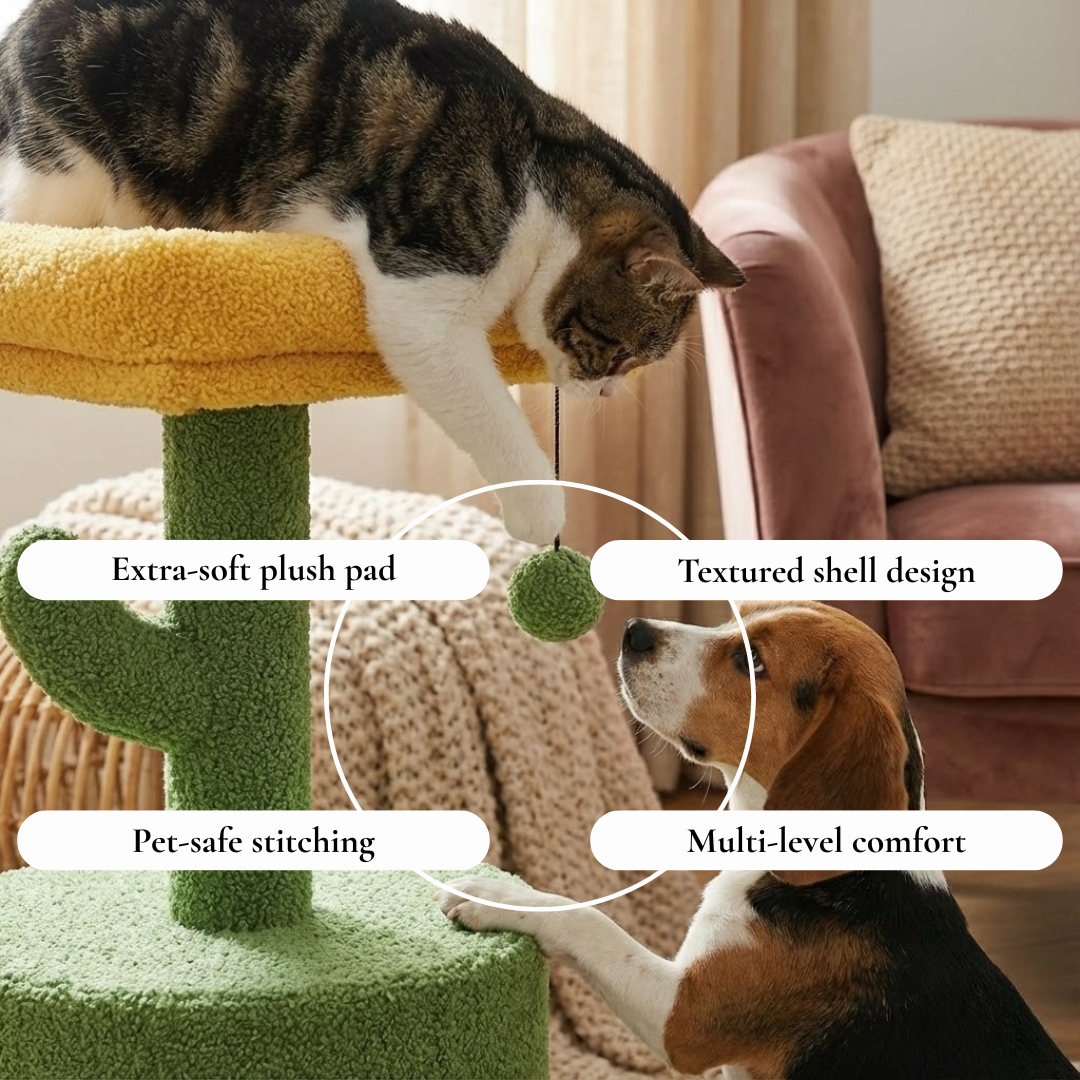 Multi-Level Cat Tree with Toy