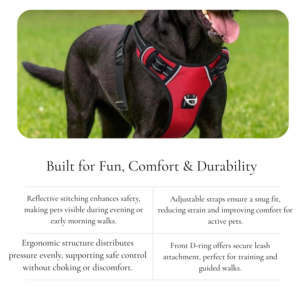 Engonomic Pet Walking Harness
