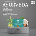 Tick & Flea Spray + Flea Soap Combo