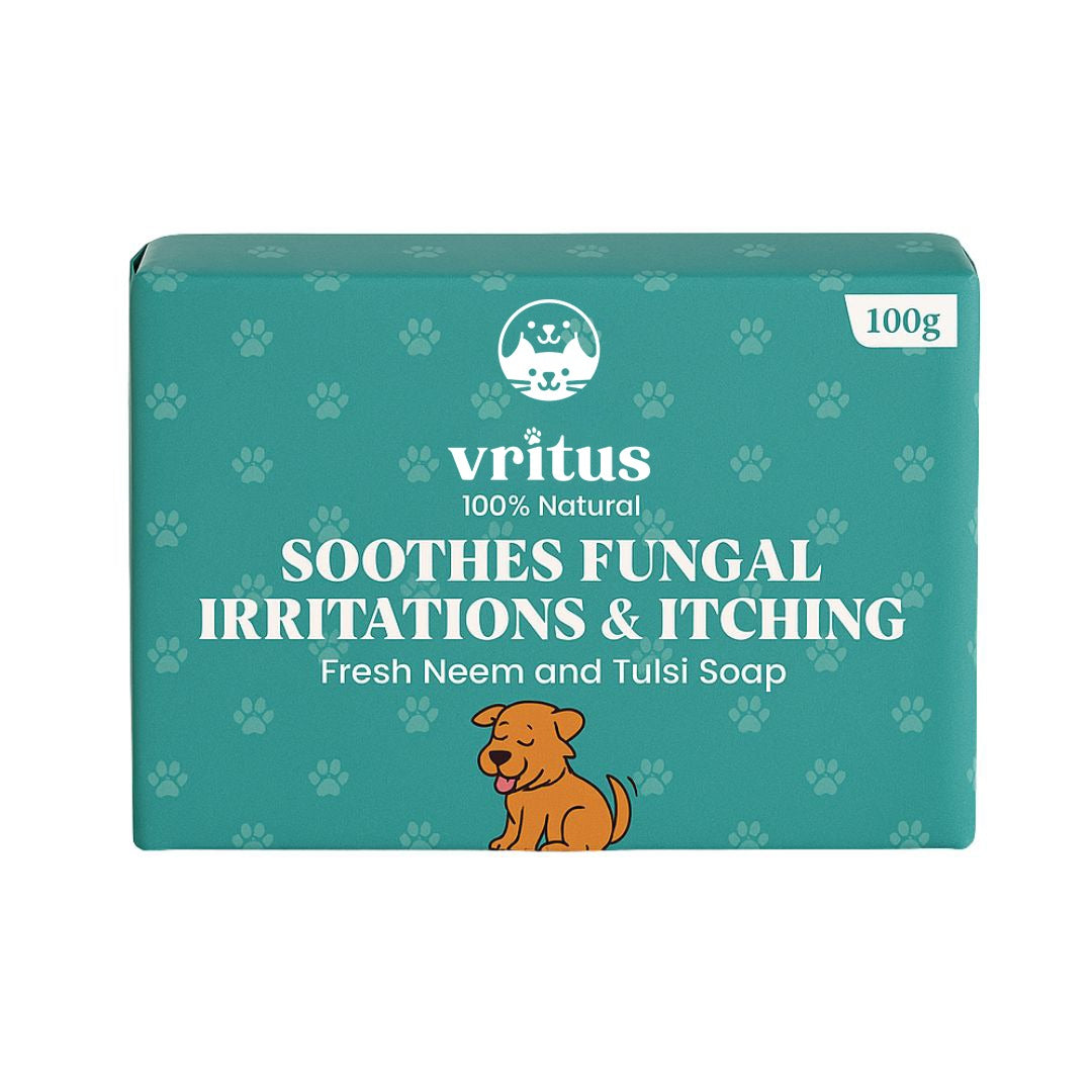 Fungal Irritation & Itching Soap | 100g