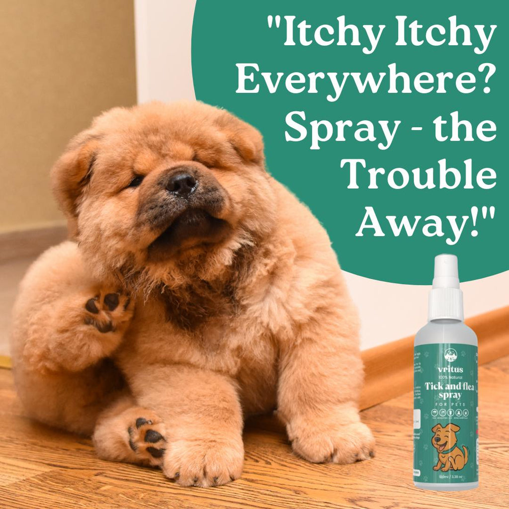 Tick & Flea Spray + Flea Soap Combo