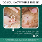 Tick & Flea Spray + Flea Soap Combo