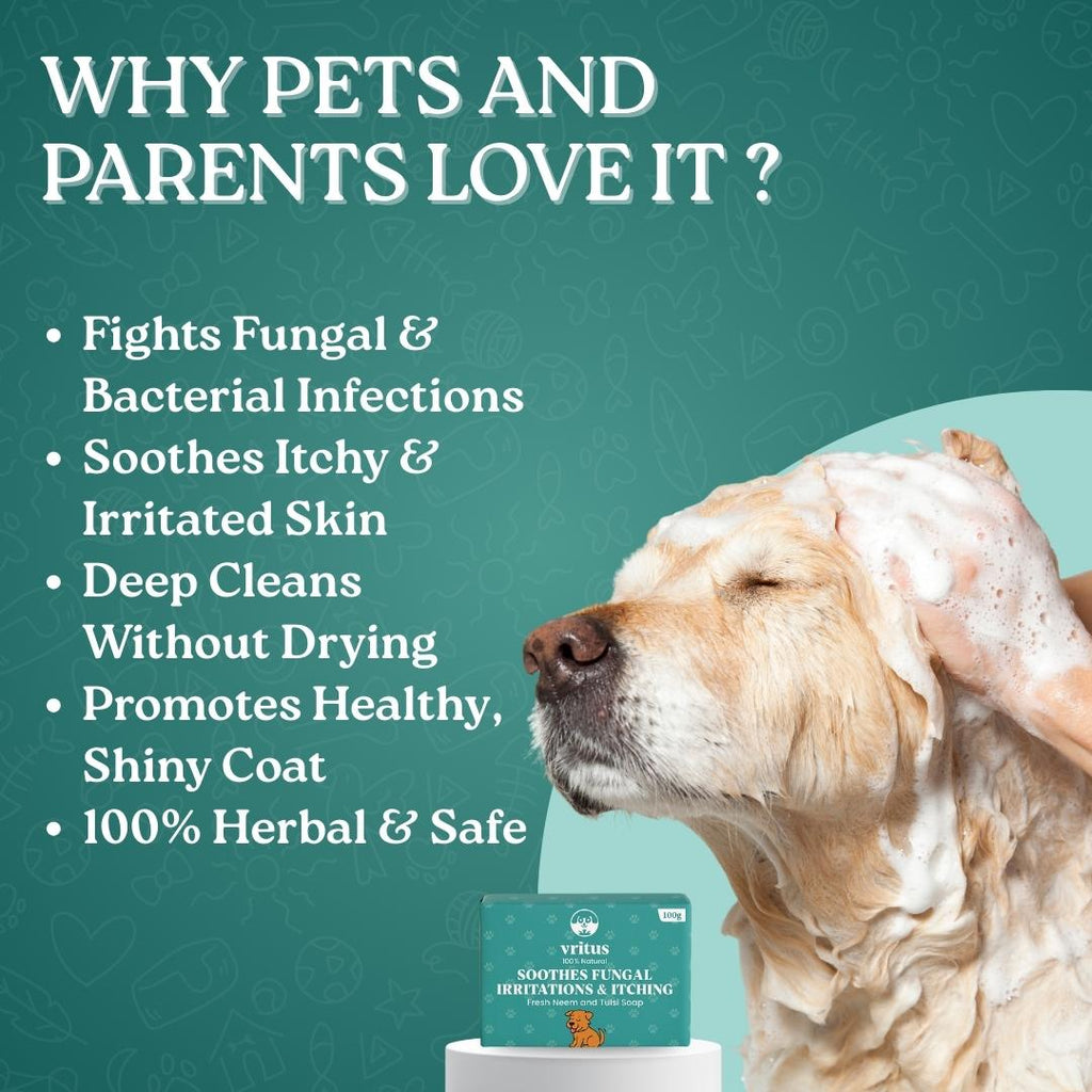 Tick & Flea Spray + Flea Soap Combo