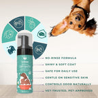 Tick & Flea Spray + Dry Bath