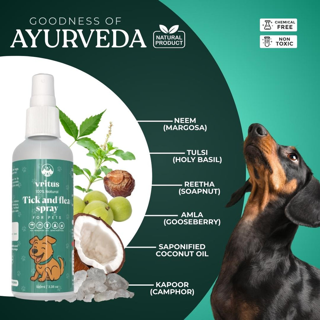 Tick & Flea Spray + Dry Bath